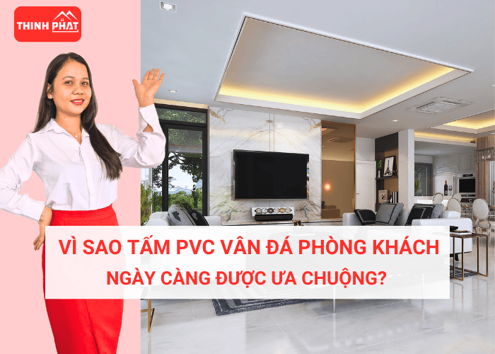 tam-pvc-van-da-phong-khach